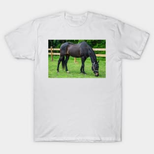 Sam the best  horse T-Shirt